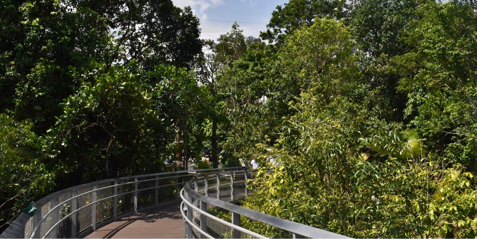 Nyungwe Forest Heart of Africa