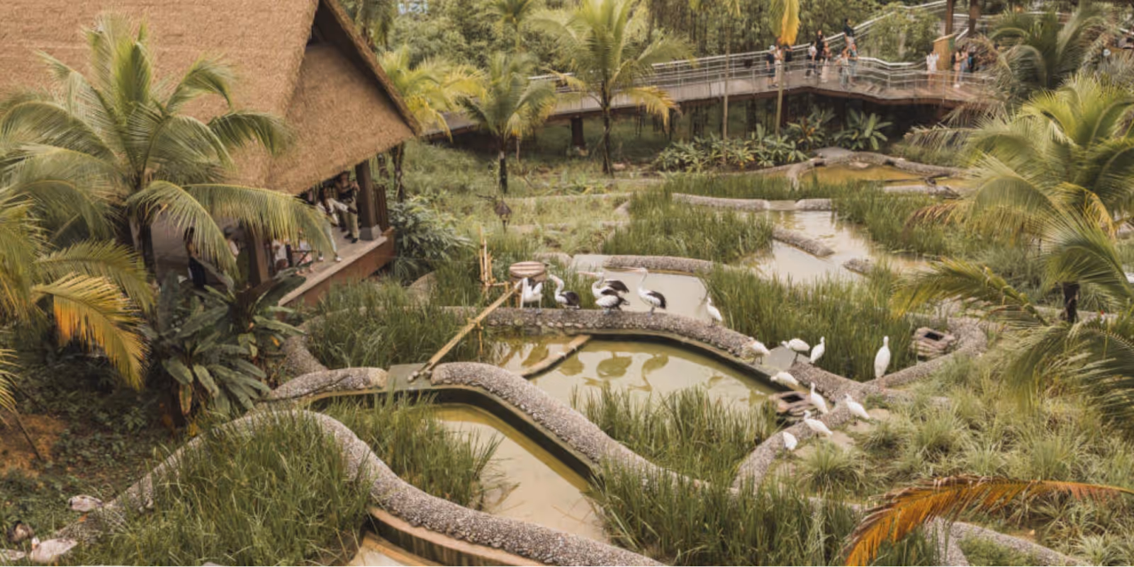 Kuok Group Wings of Asia