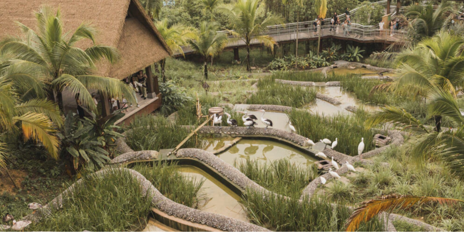 Kuok Group Wings of Asia