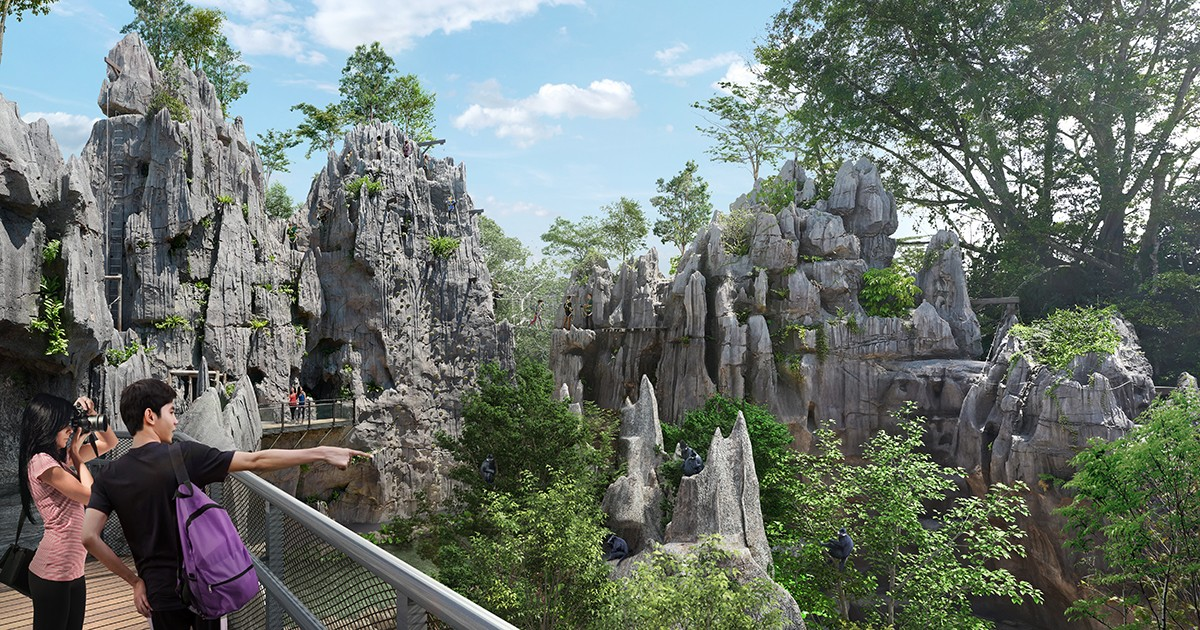 Rainforest Wild ASIA Singapore