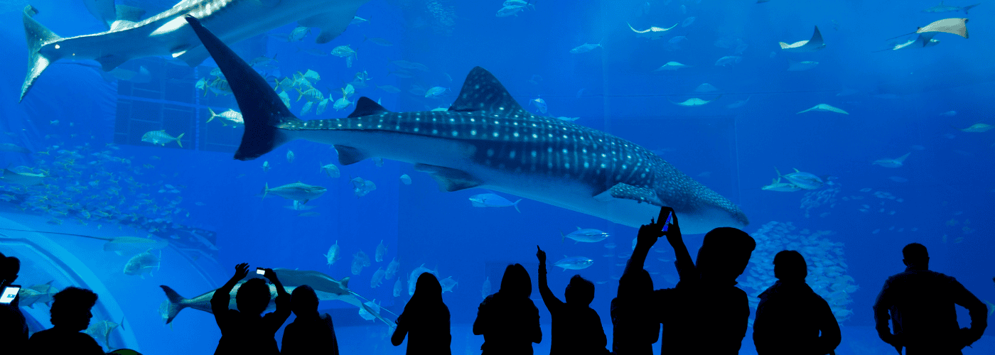 22 Amazing Zones at Singapore Oceanarium: Ultimate Guide