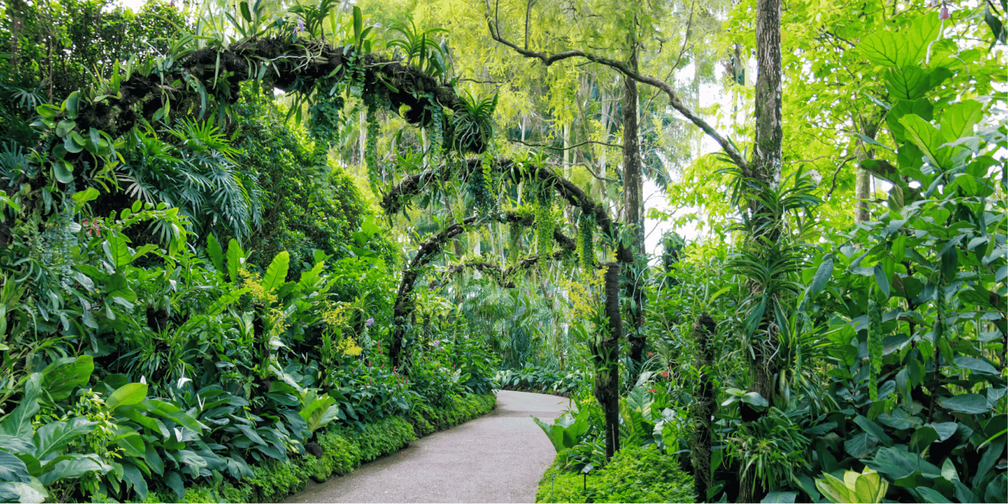 Singapore Botanic Gardens