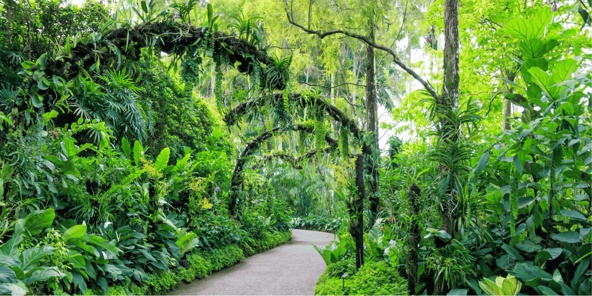 Singapore Botanic Gardens