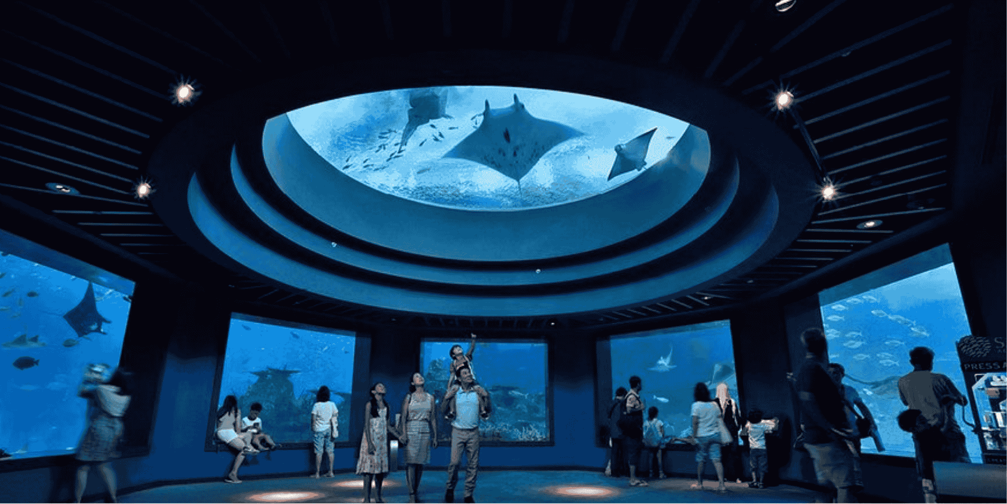 Singapore Oceanarium