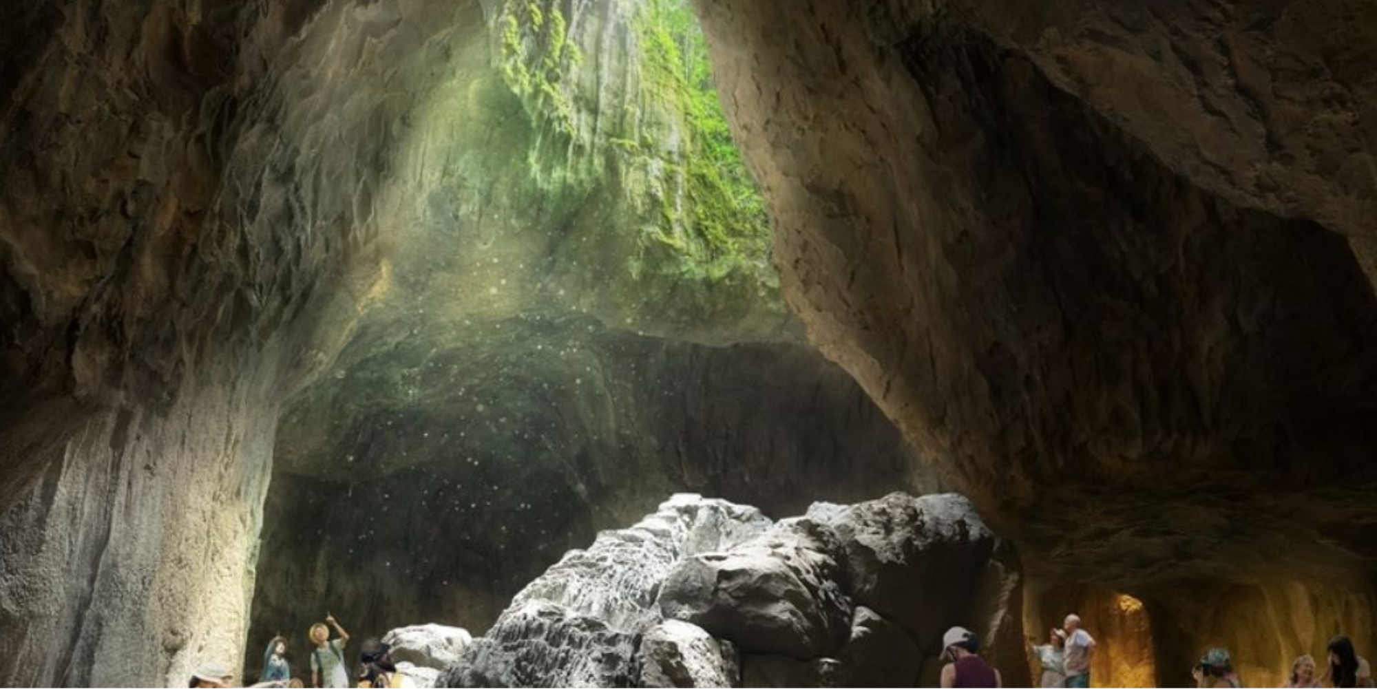 Wild Cavern Adventure