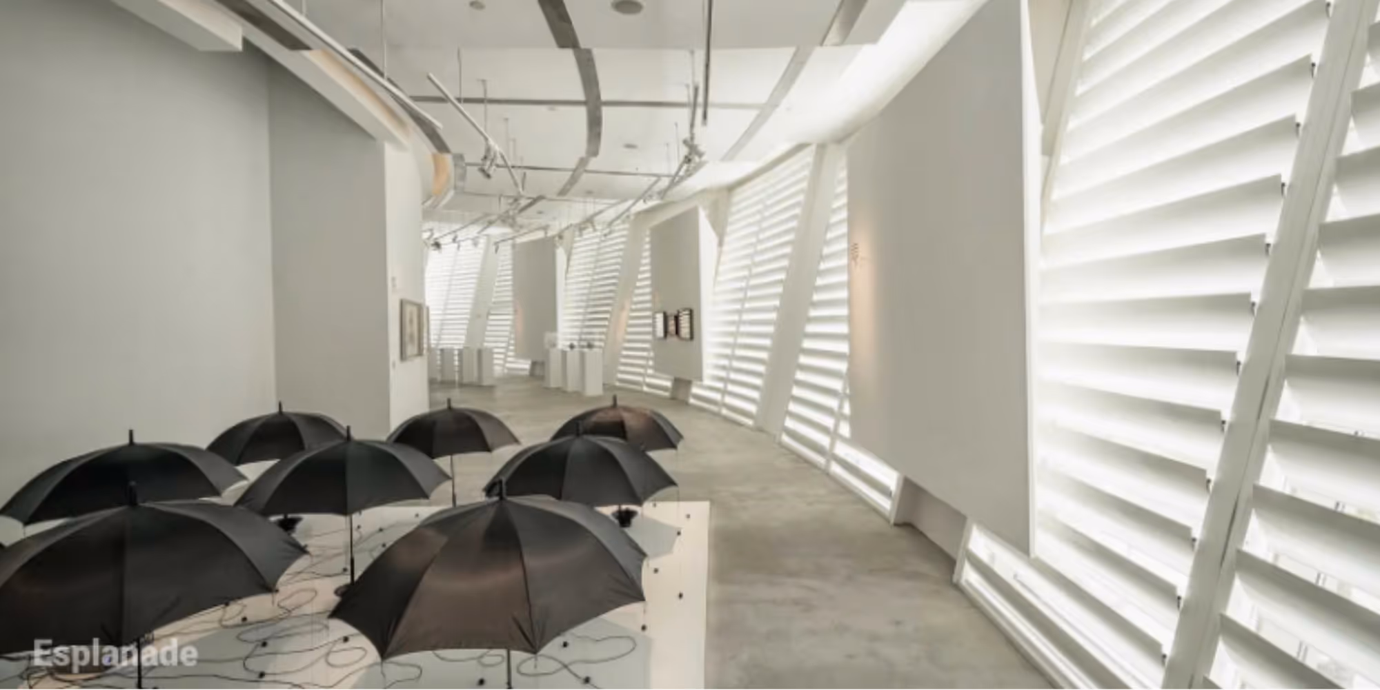 Visual Arts Exhibitions