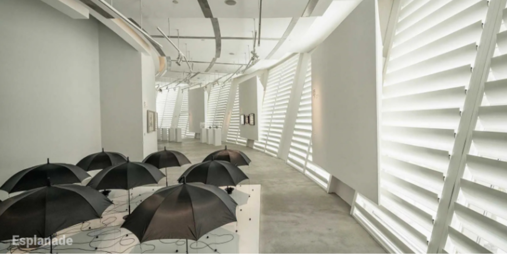 Visual Arts Exhibitions