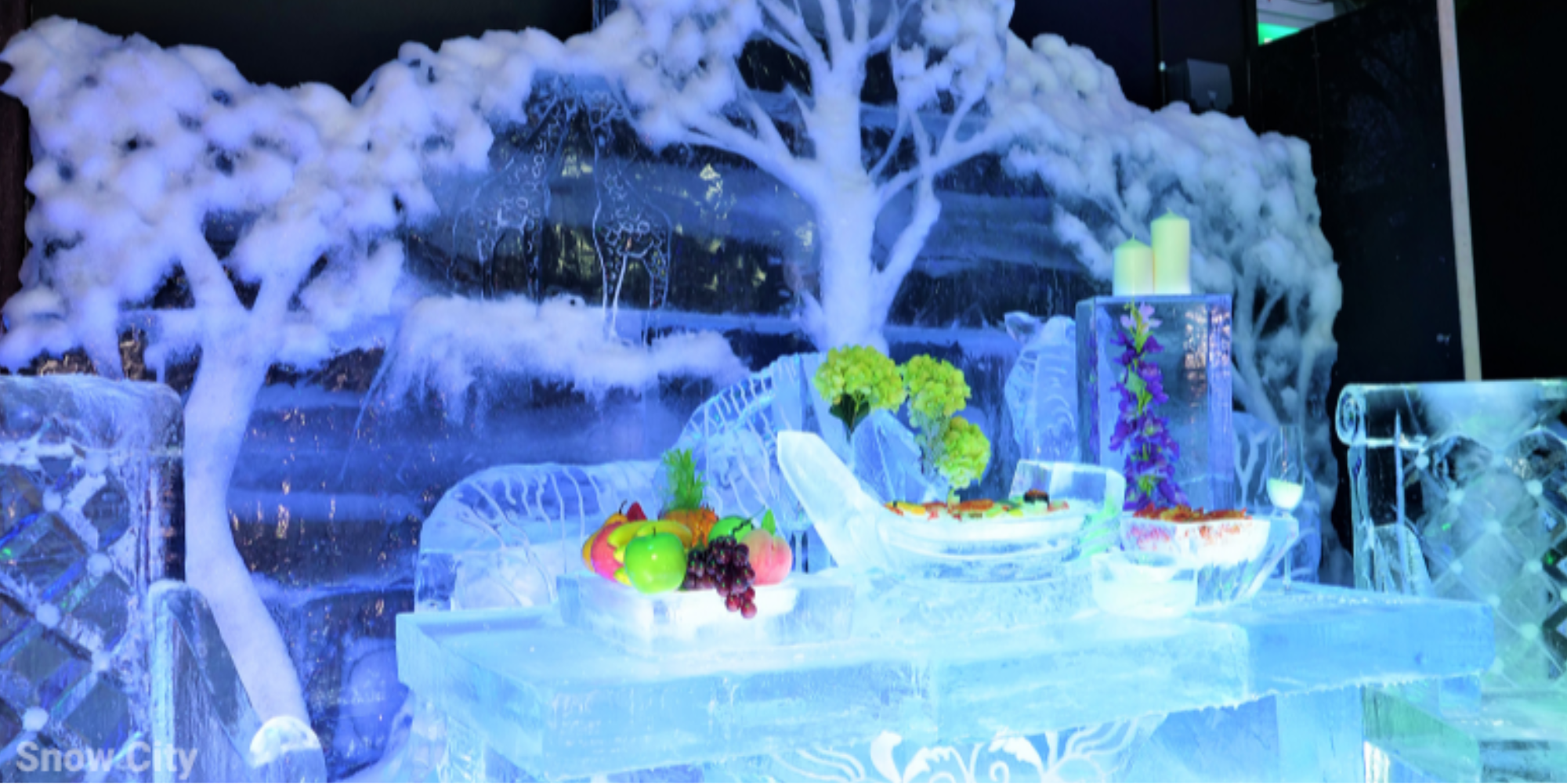 Snow City's New Attractions