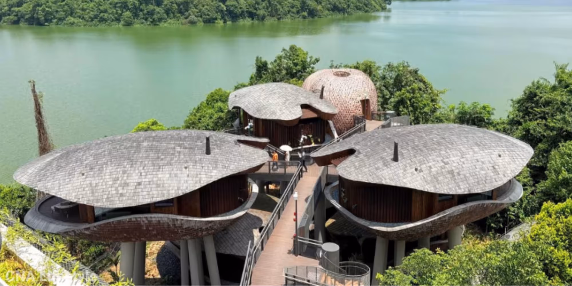 Mandai Rainforest Resort