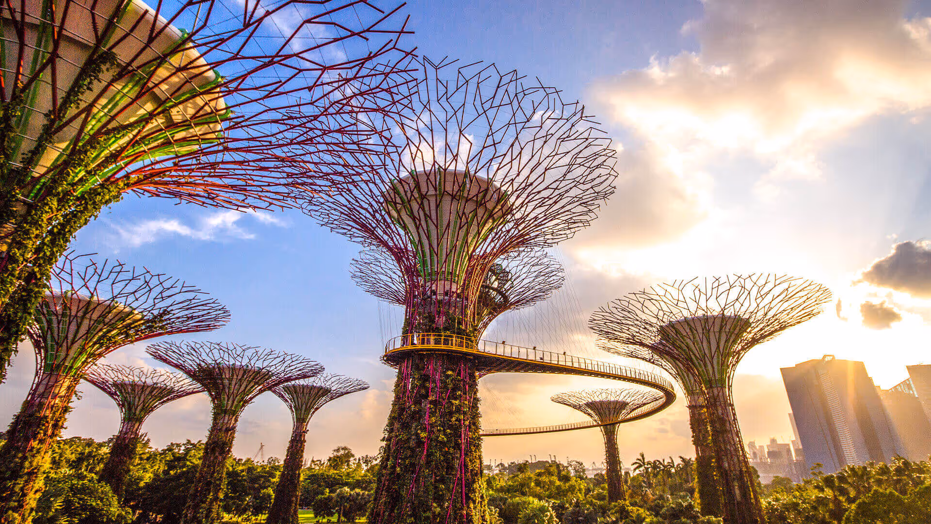 Supertree at Gardens by the Bayy