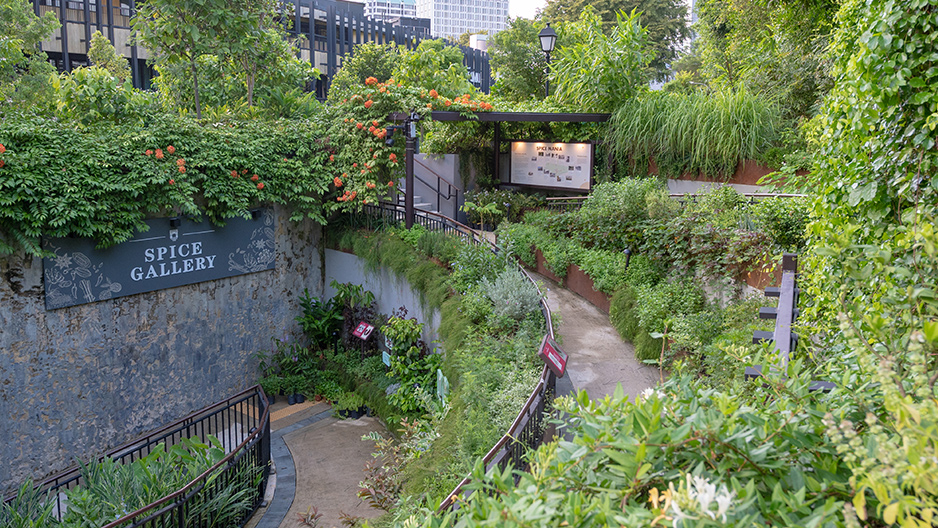 Fort Canning Spice Gallery