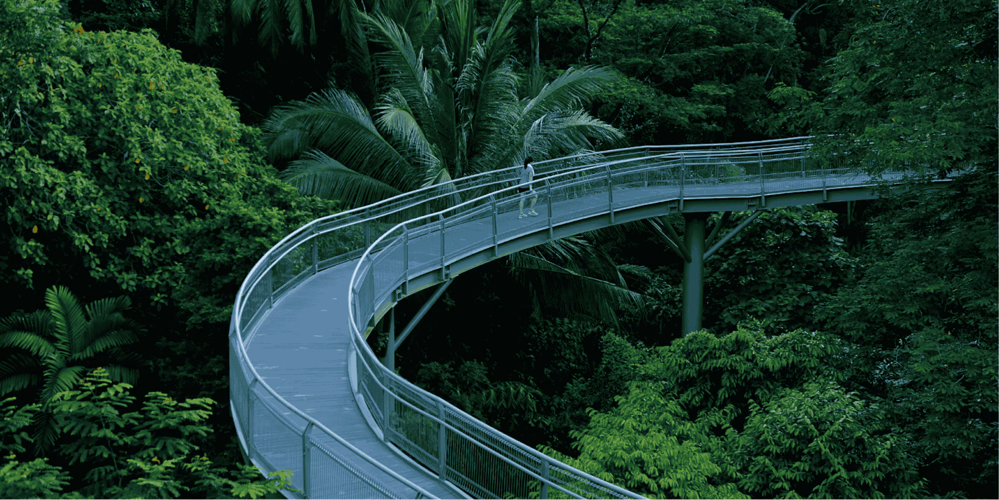 Southern Ridges Singapore