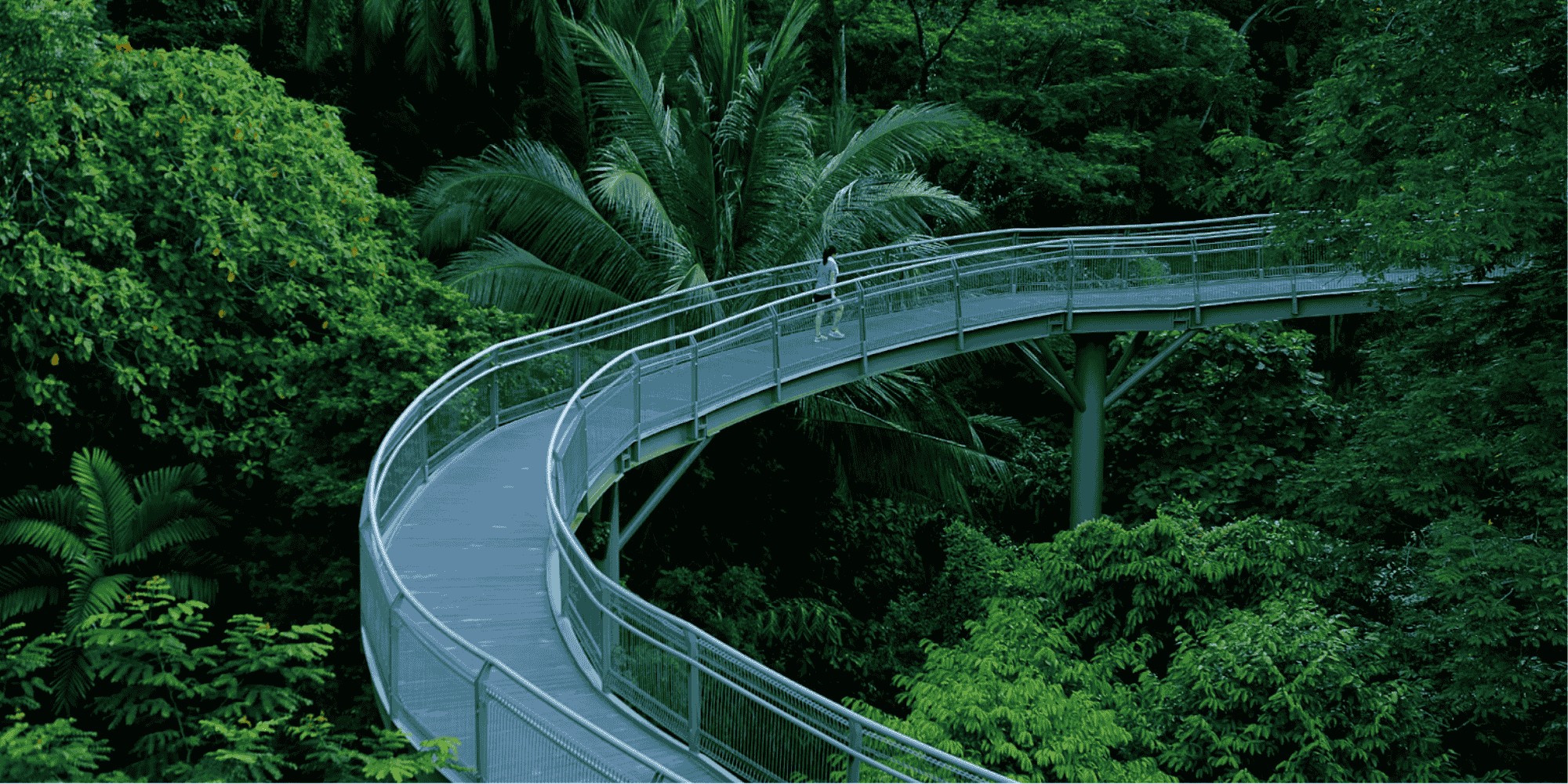 Southern Ridges Singapore