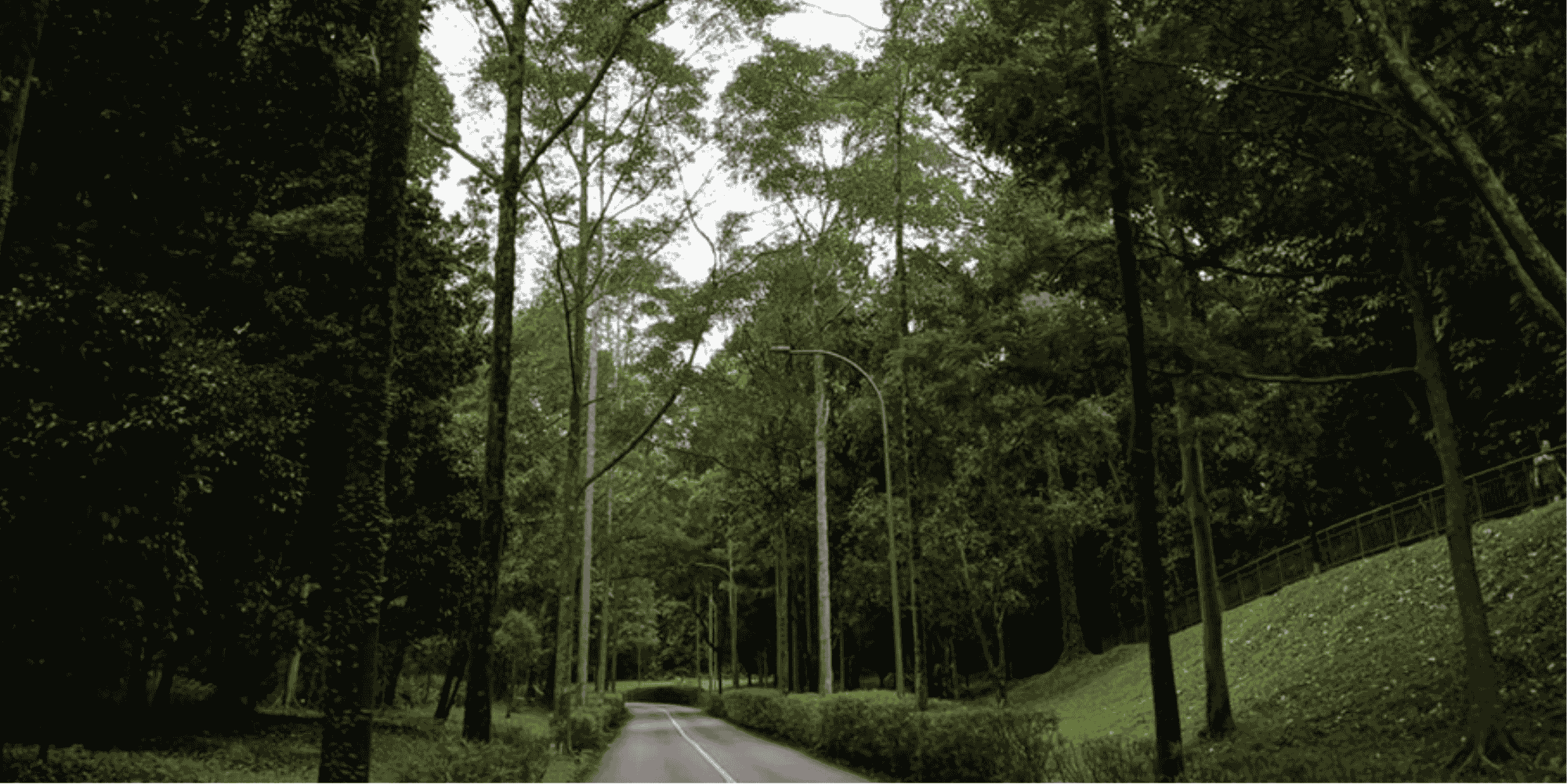 Sembcorp Forest of Giants