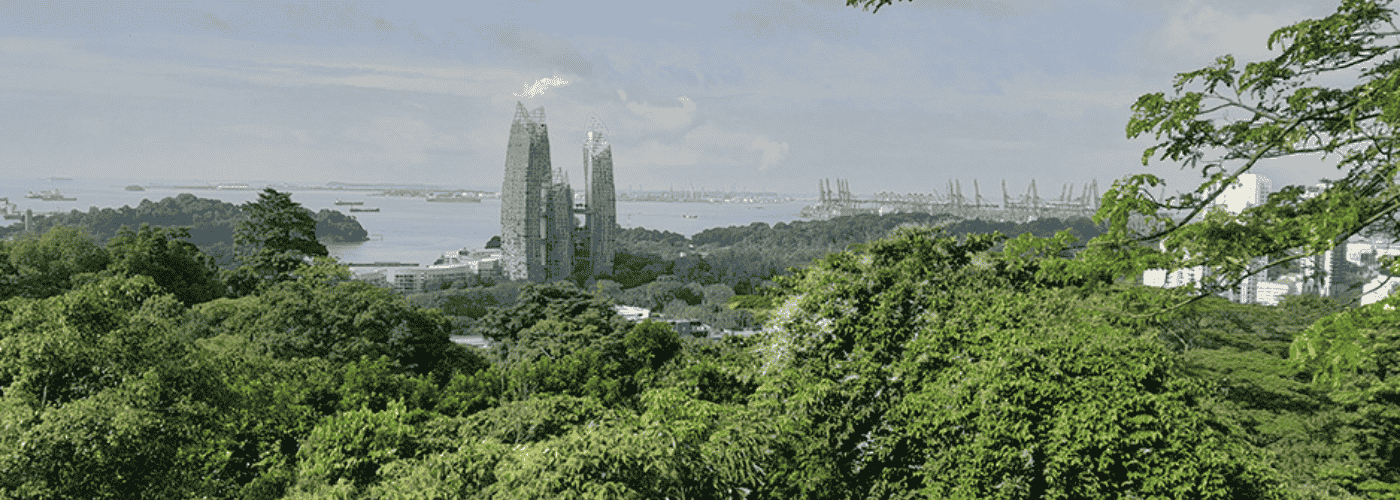 Southern Ridges Singapore: Discover Nature's Hidden Gem