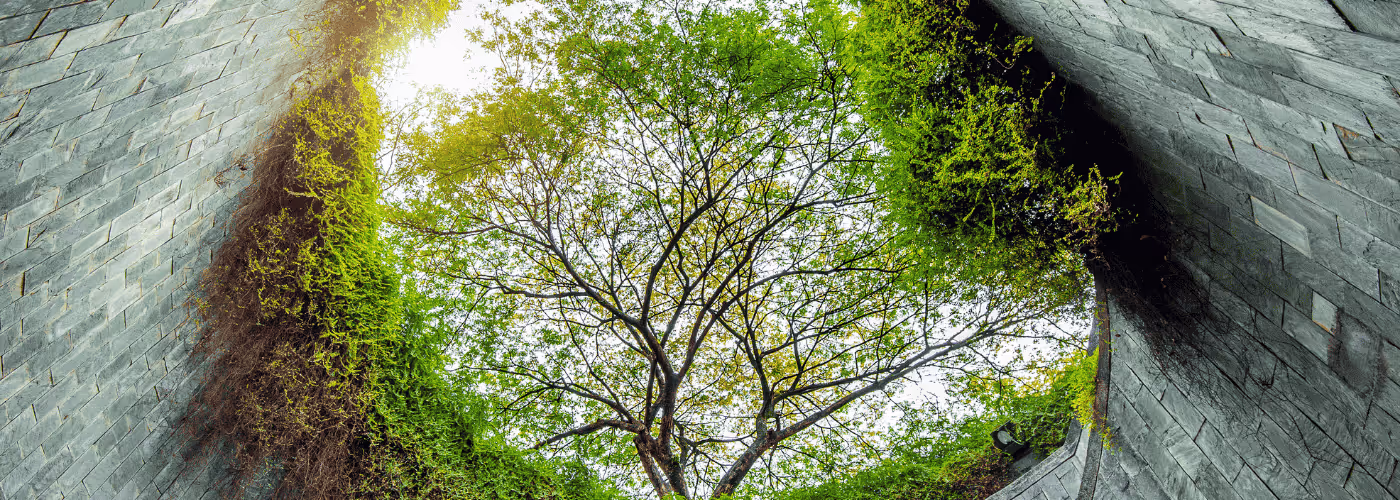 Fort Canning Park: Uncover Singapore's Enchanting Historical Gem