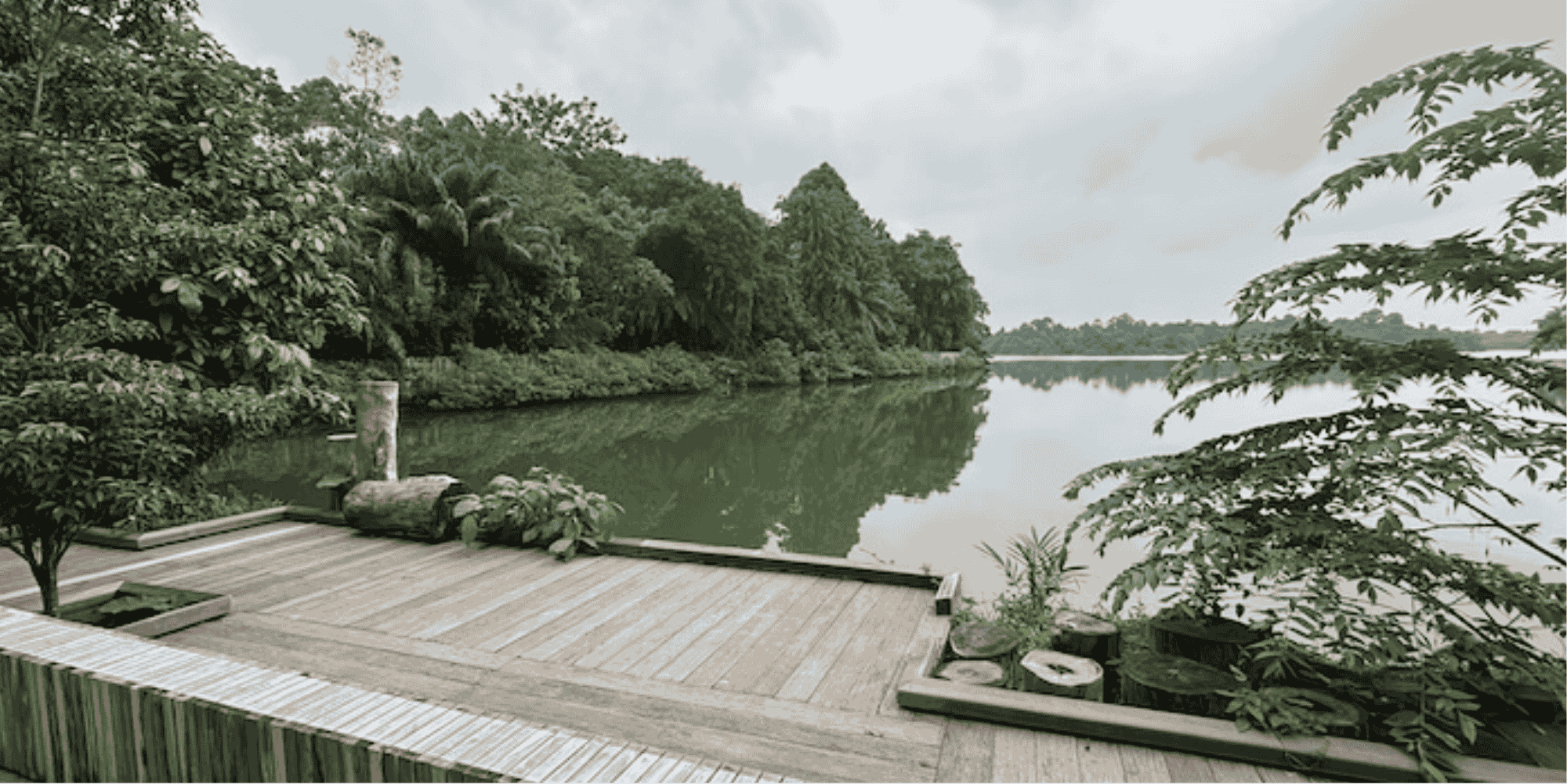 Eagle's Perch of mandai boardwalk