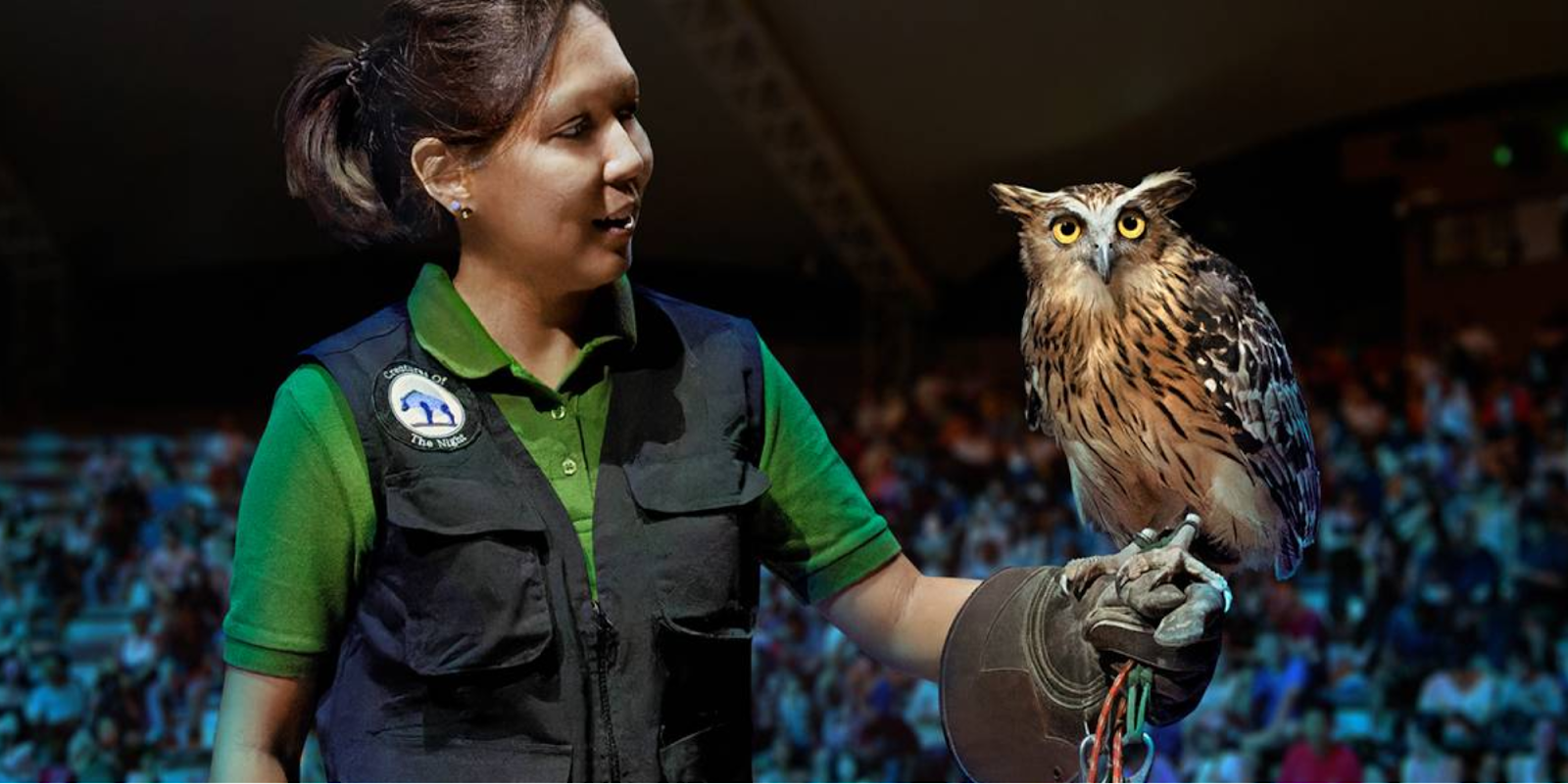 Creatures of the Night Show