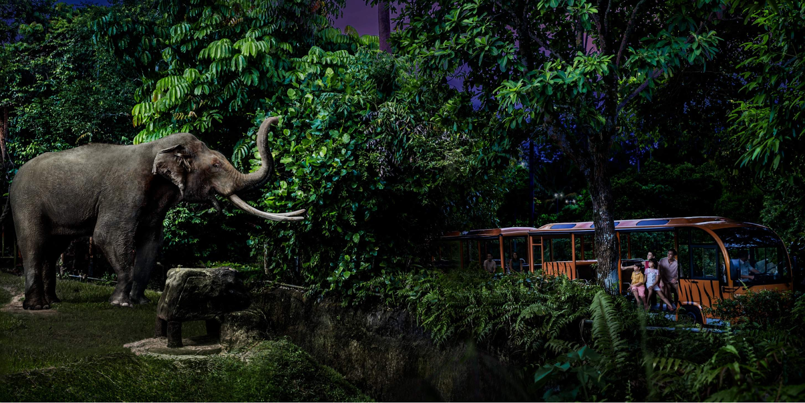 Singapore Night Safari