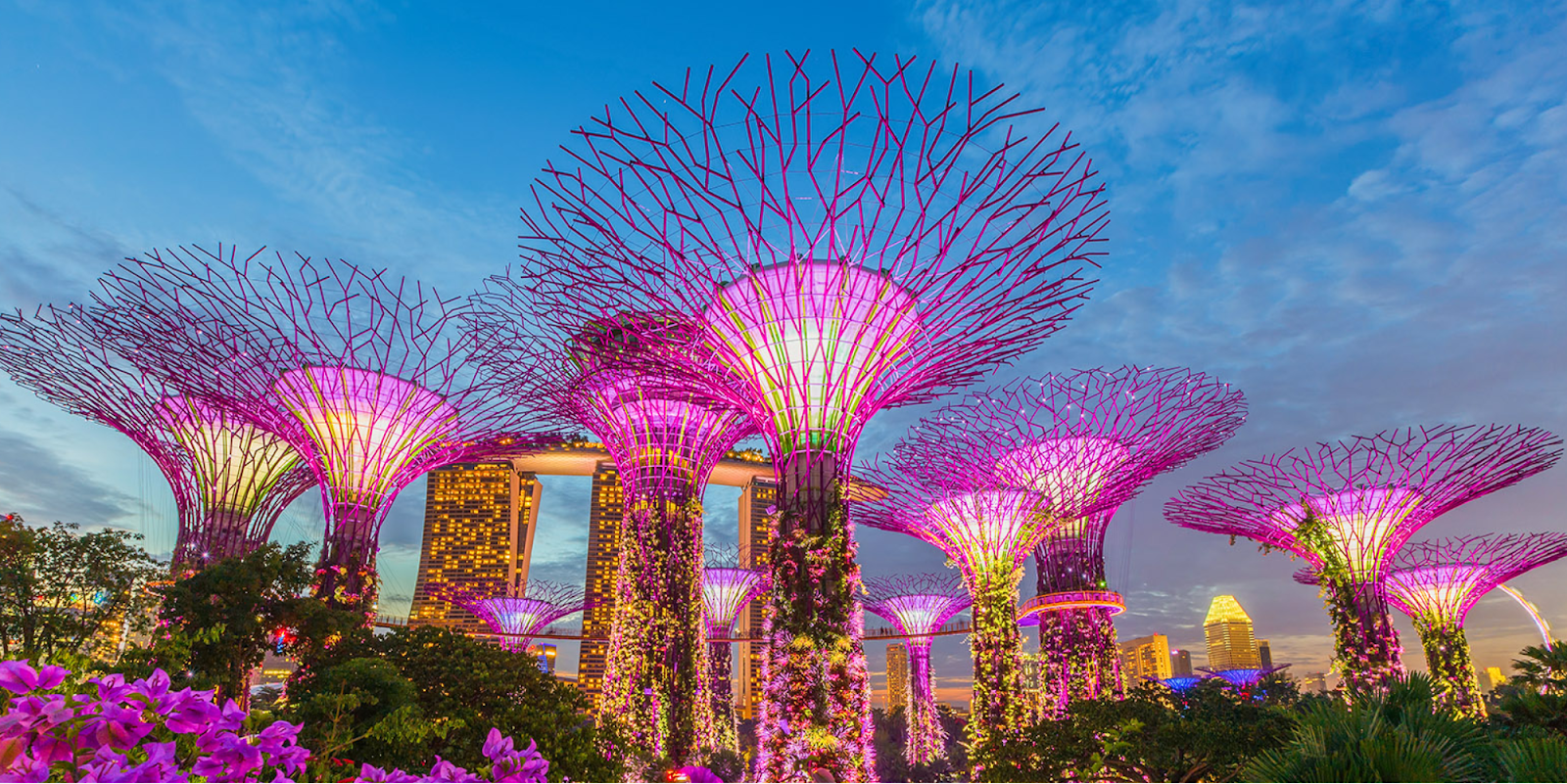 Garden Rhapsody Light Show