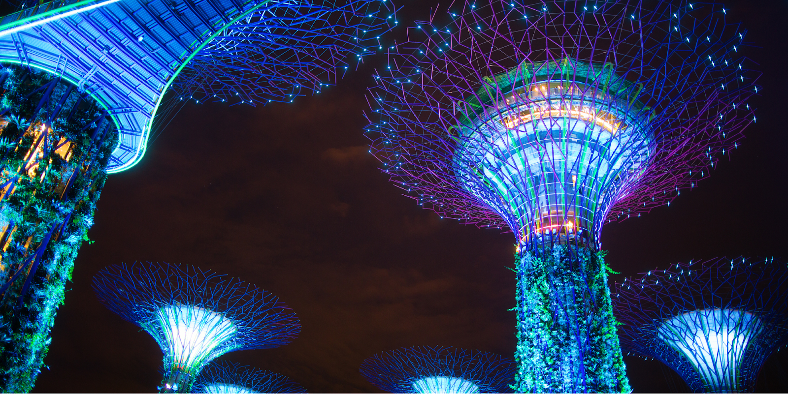 supertree grove garden by the bay