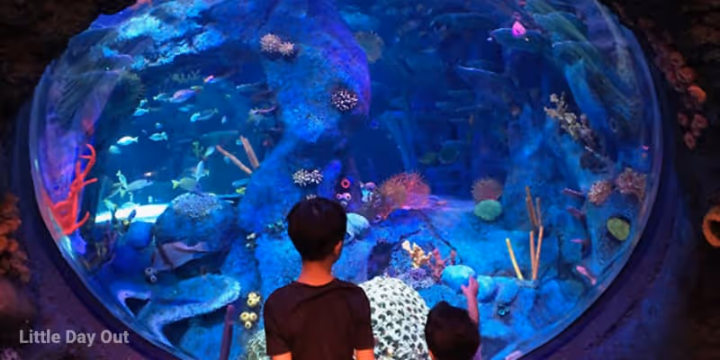 SEA LIFE Malaysia