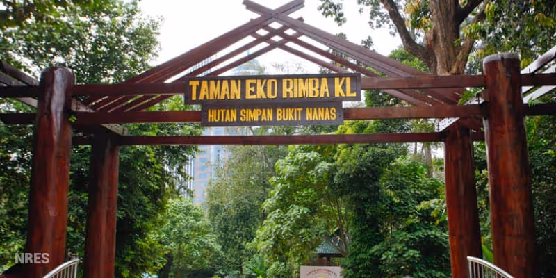 Bukit Nanas