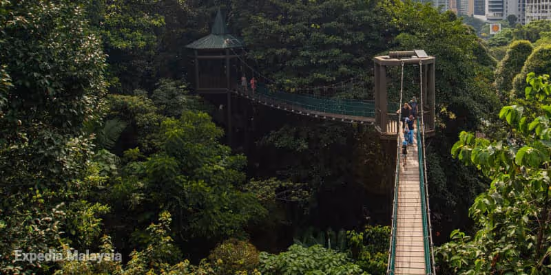 Canopy Walk