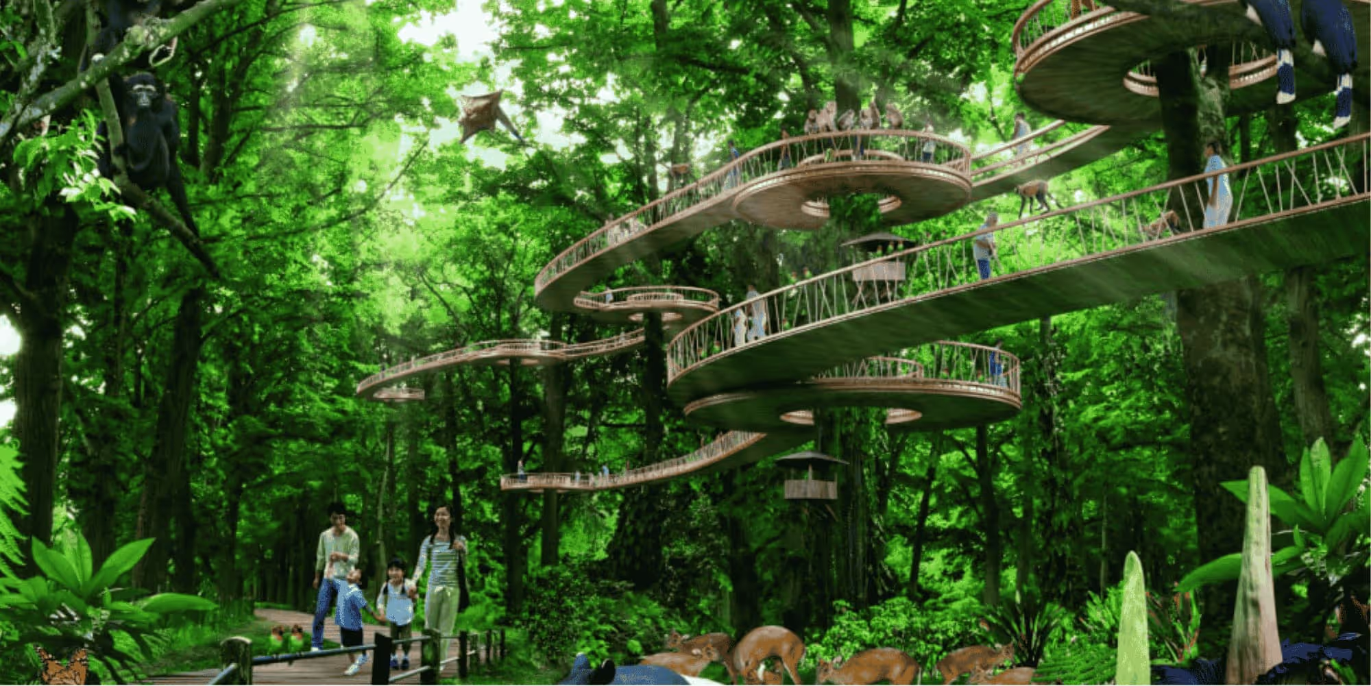 The Rainforest