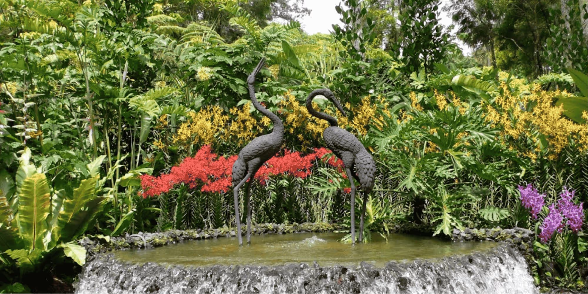 Ginger Garden