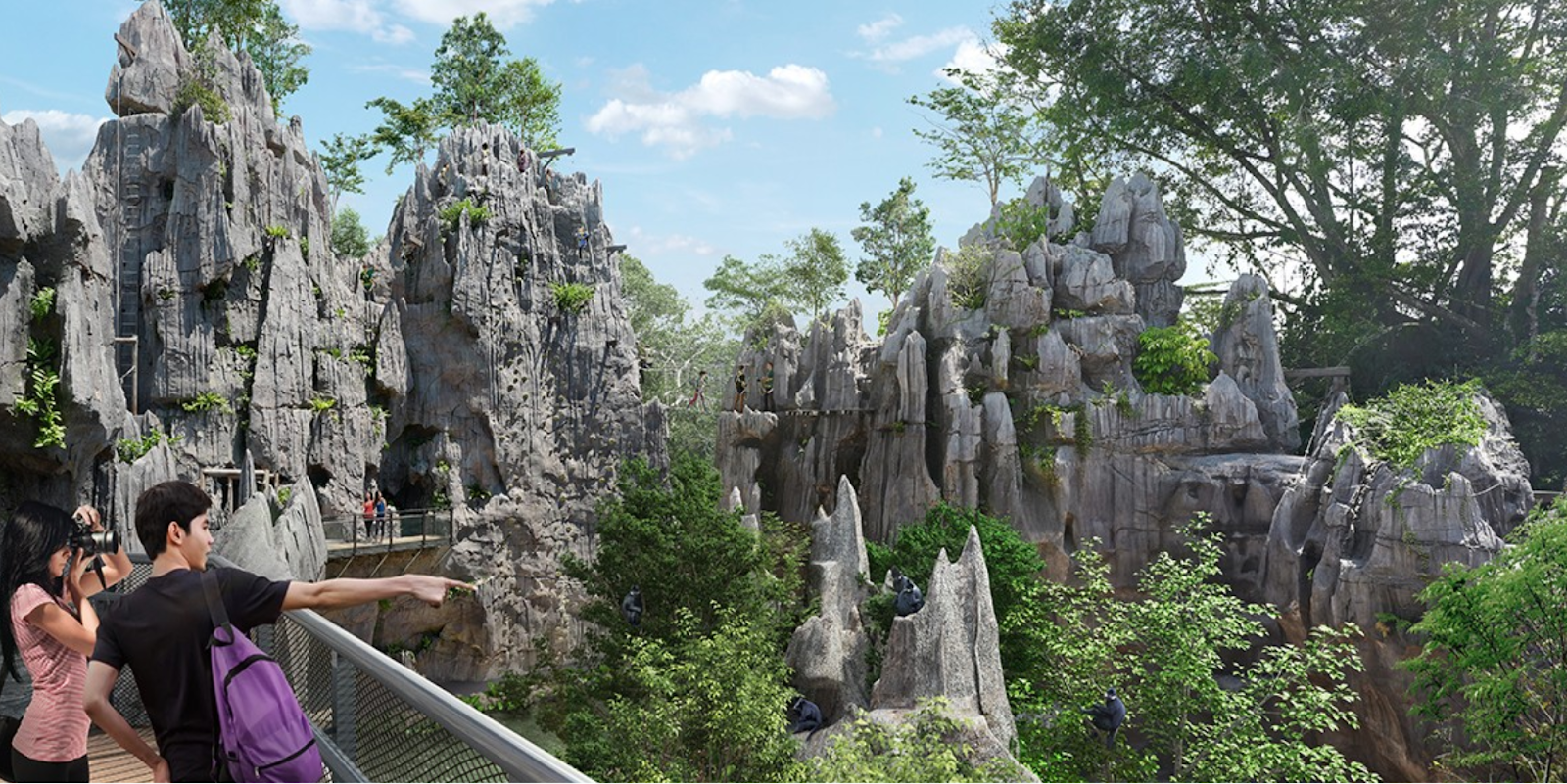 Rainforest Wild ASIA