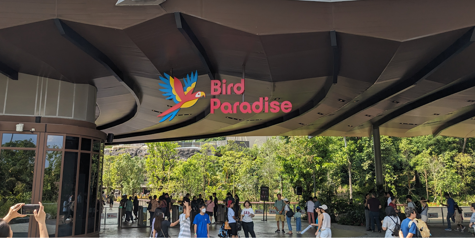 Bird Paradise