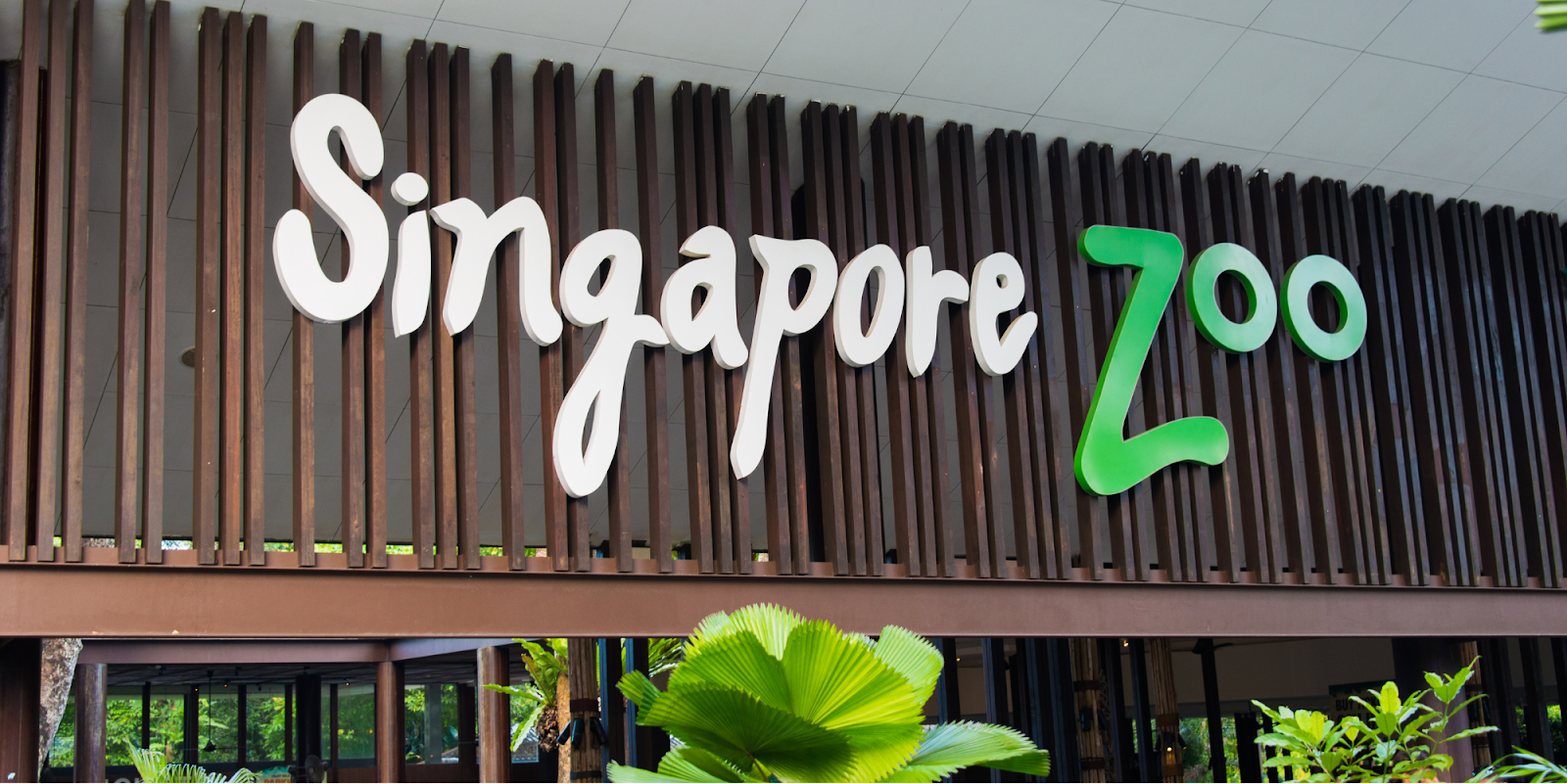 Singapore Zoo