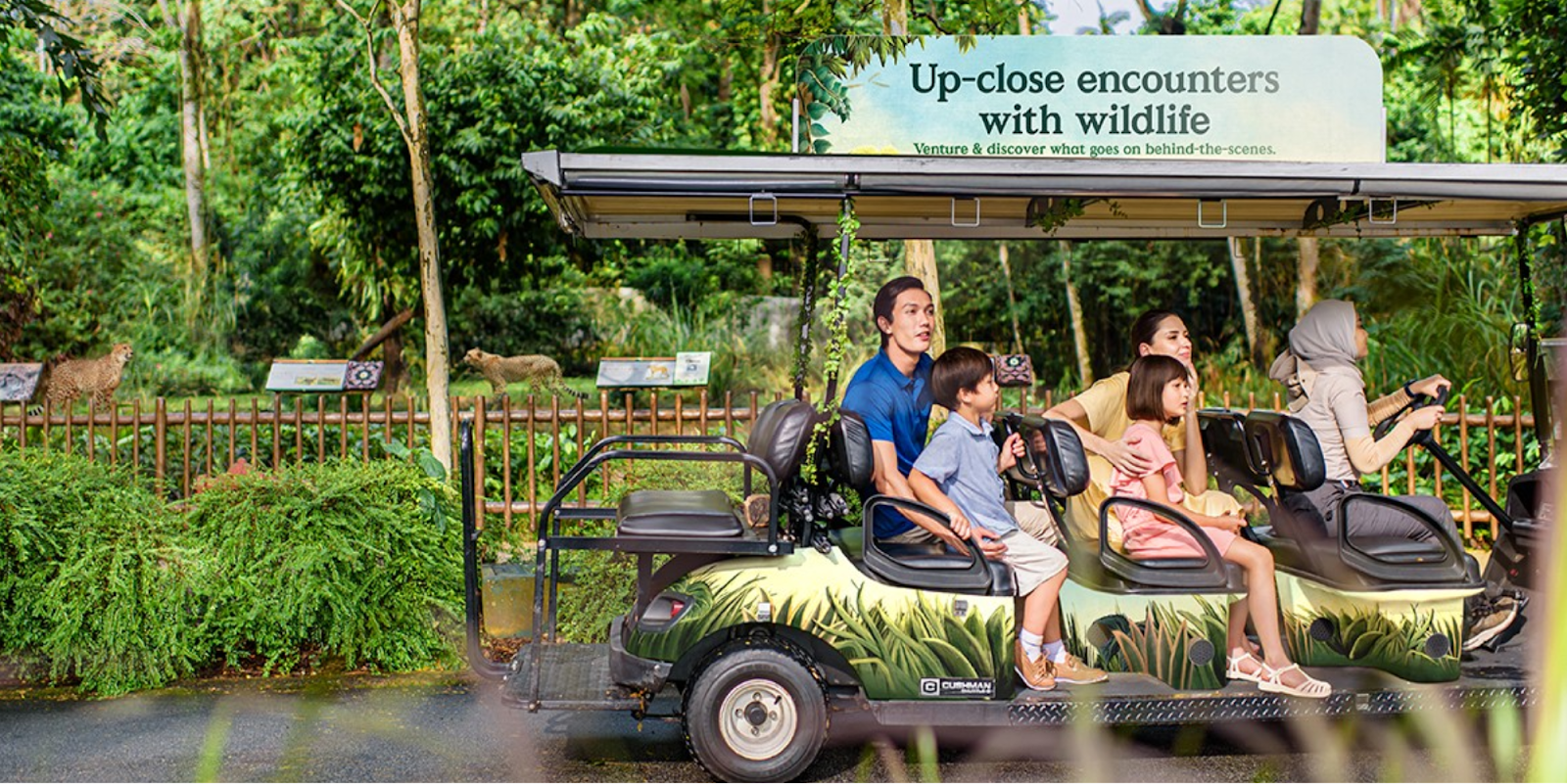 Private Buggy Tours