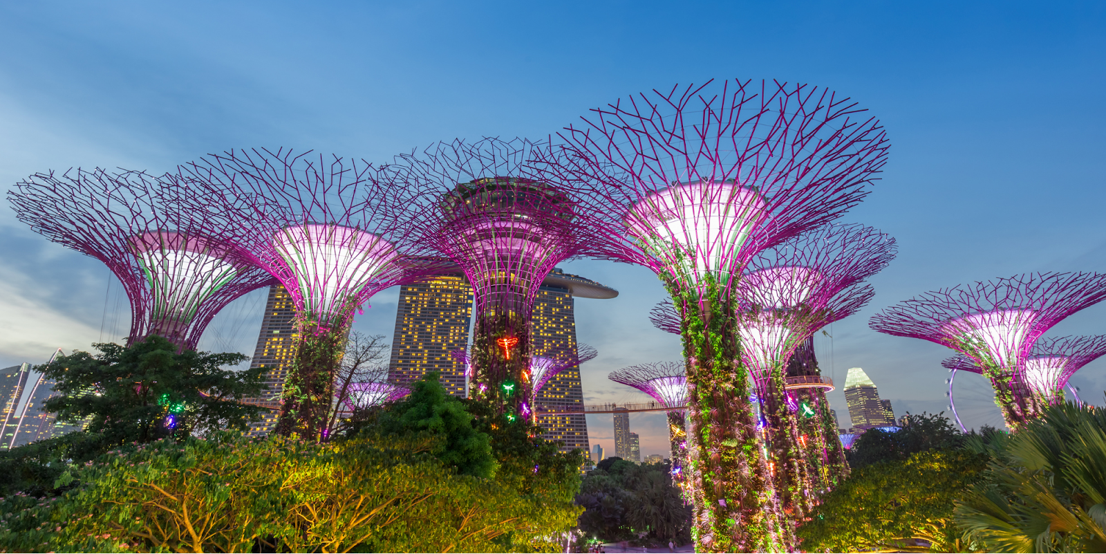 Gardens by the Bay