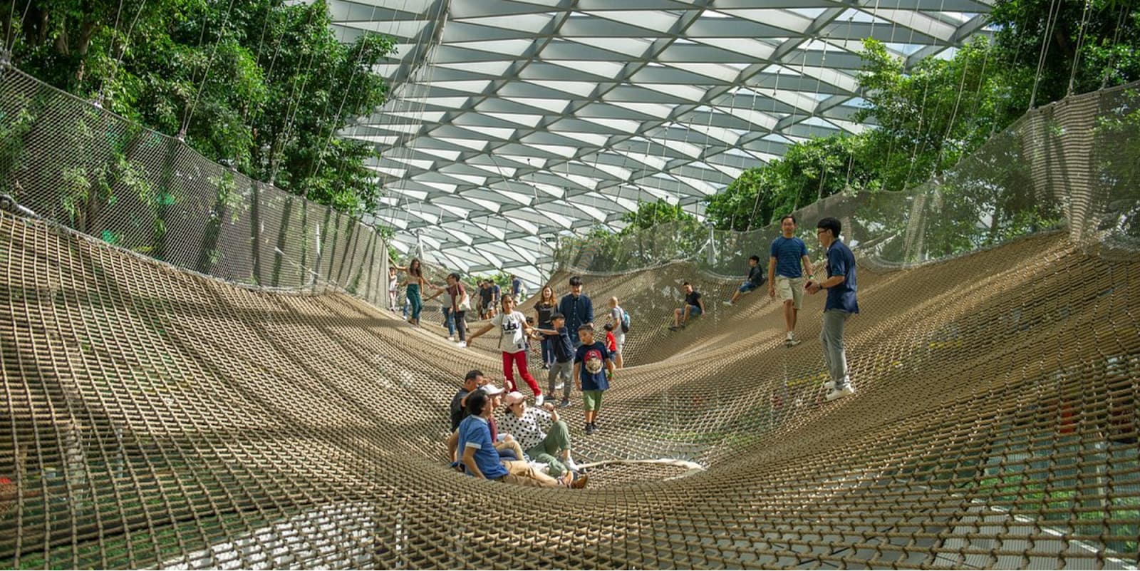 Canopy Park