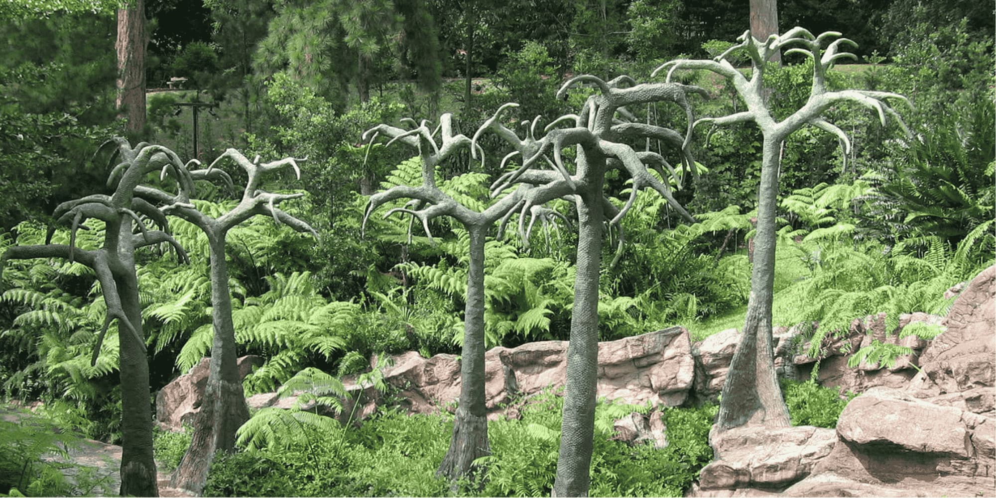 Evolution Garden