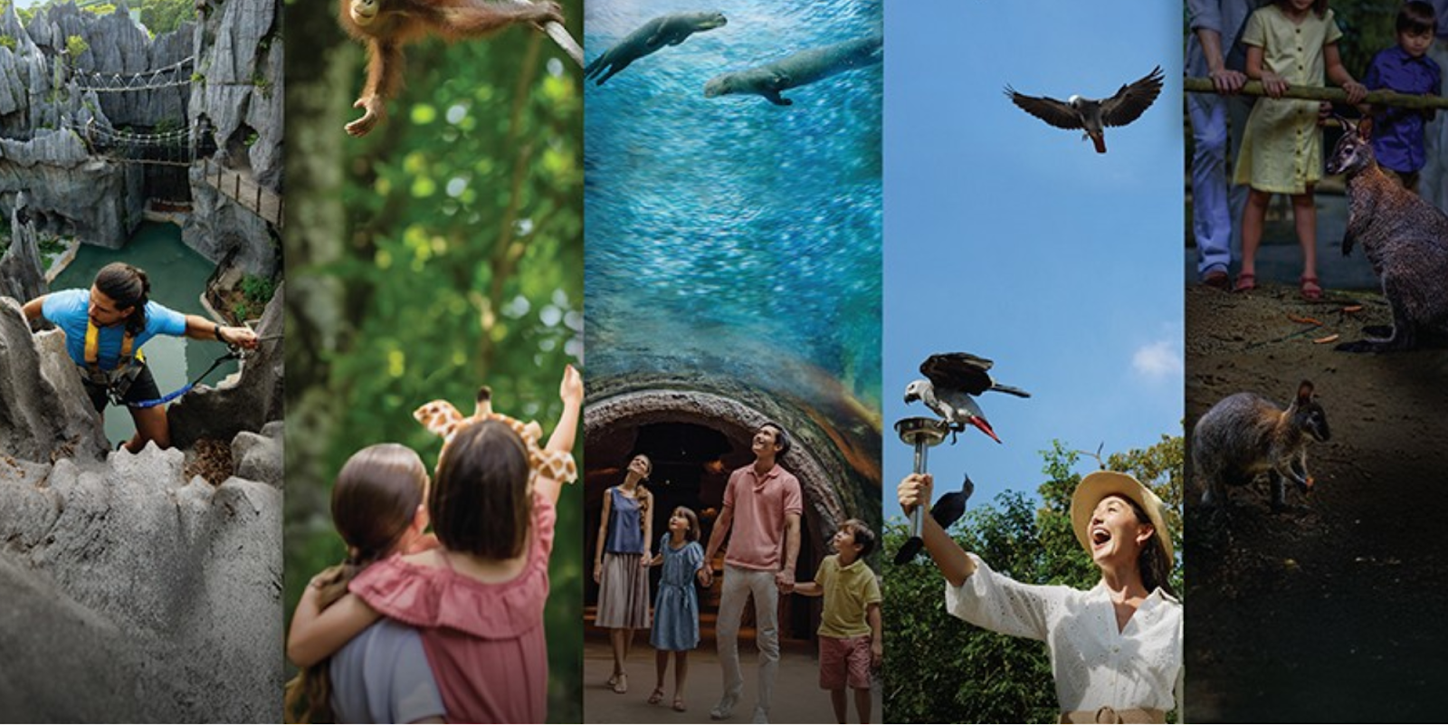 Amazonia Encounters