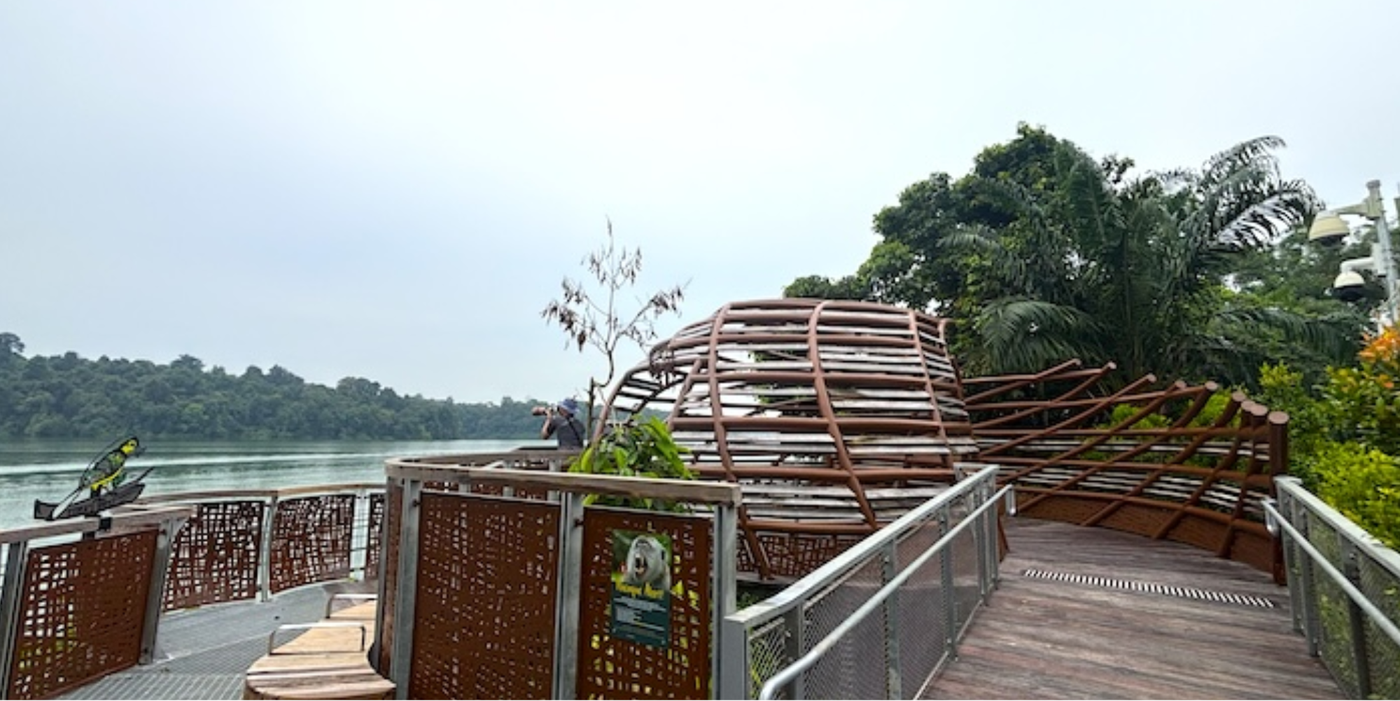 Iora's Nest