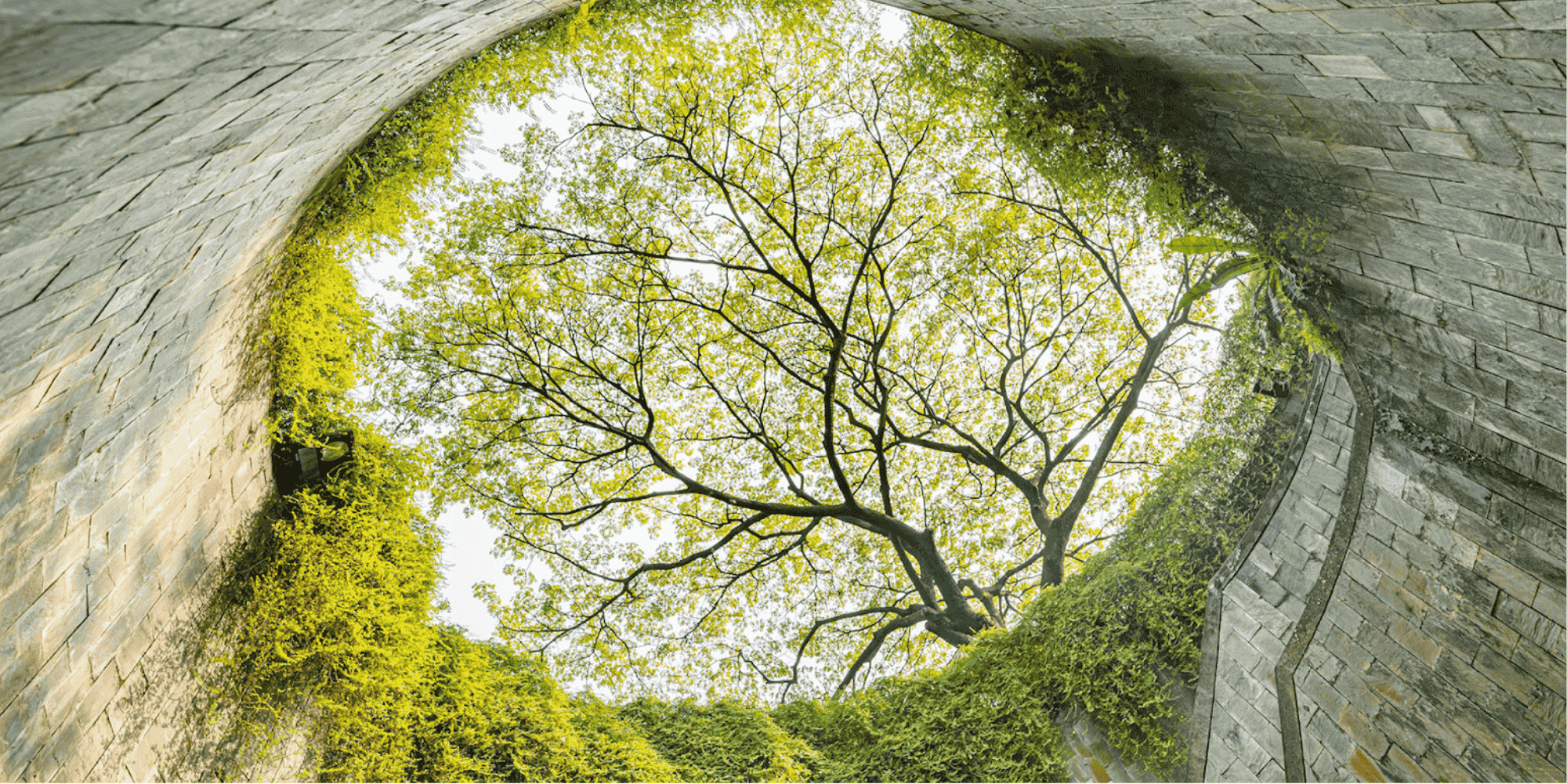 fort canning park