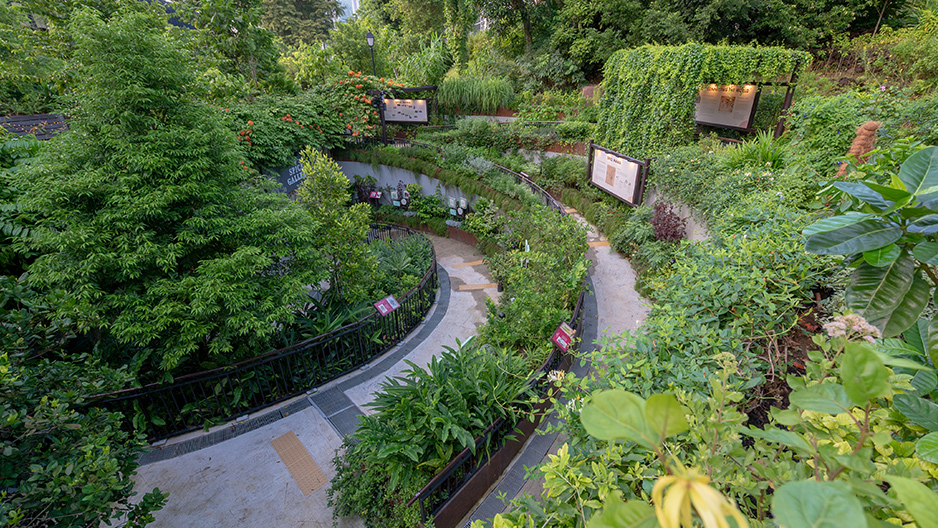 Spice Garden