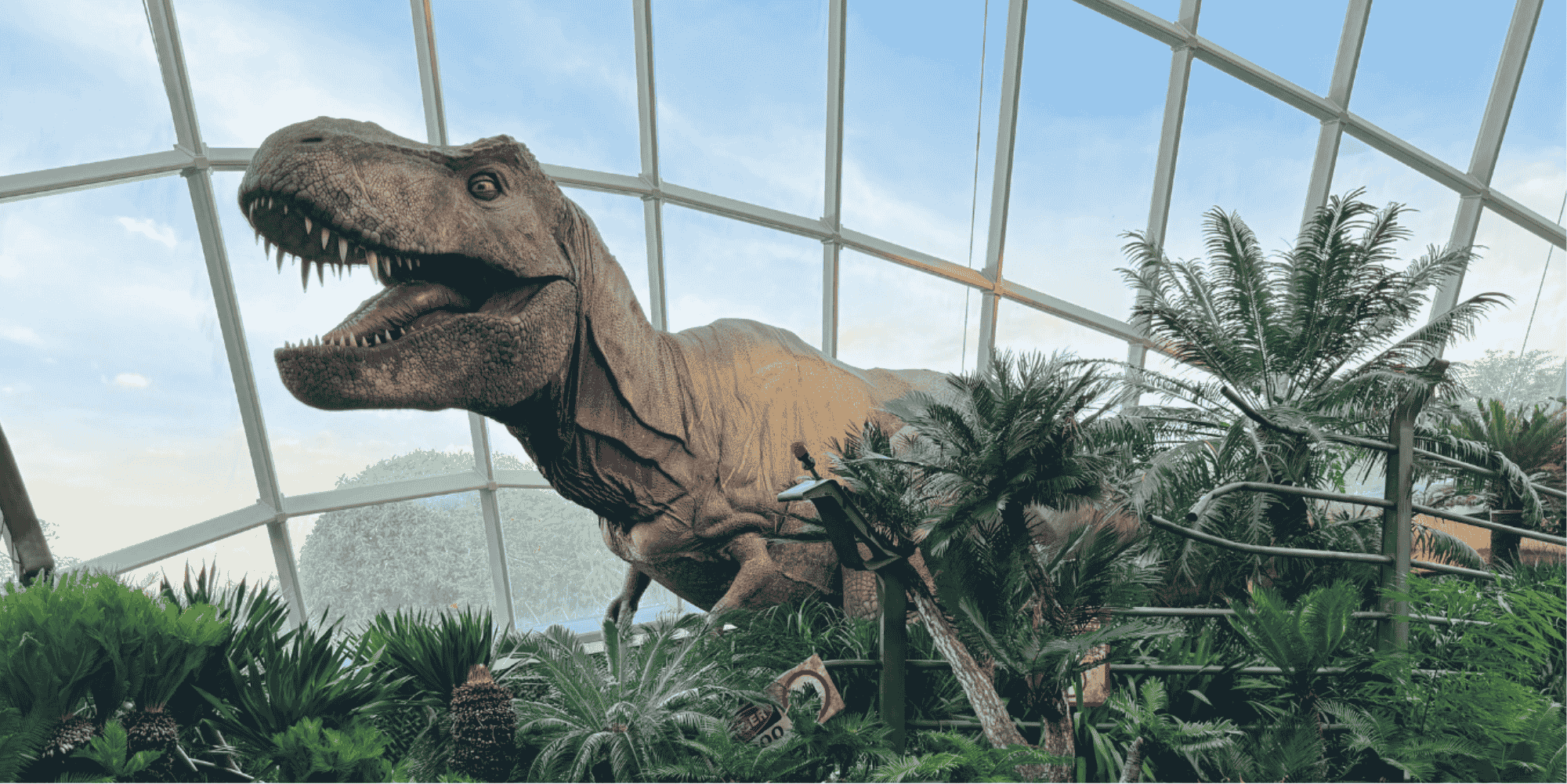 dinosaur