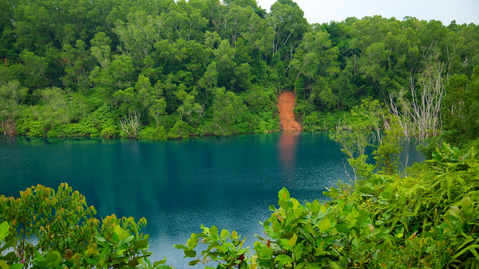 Chek Jawa Wetlands