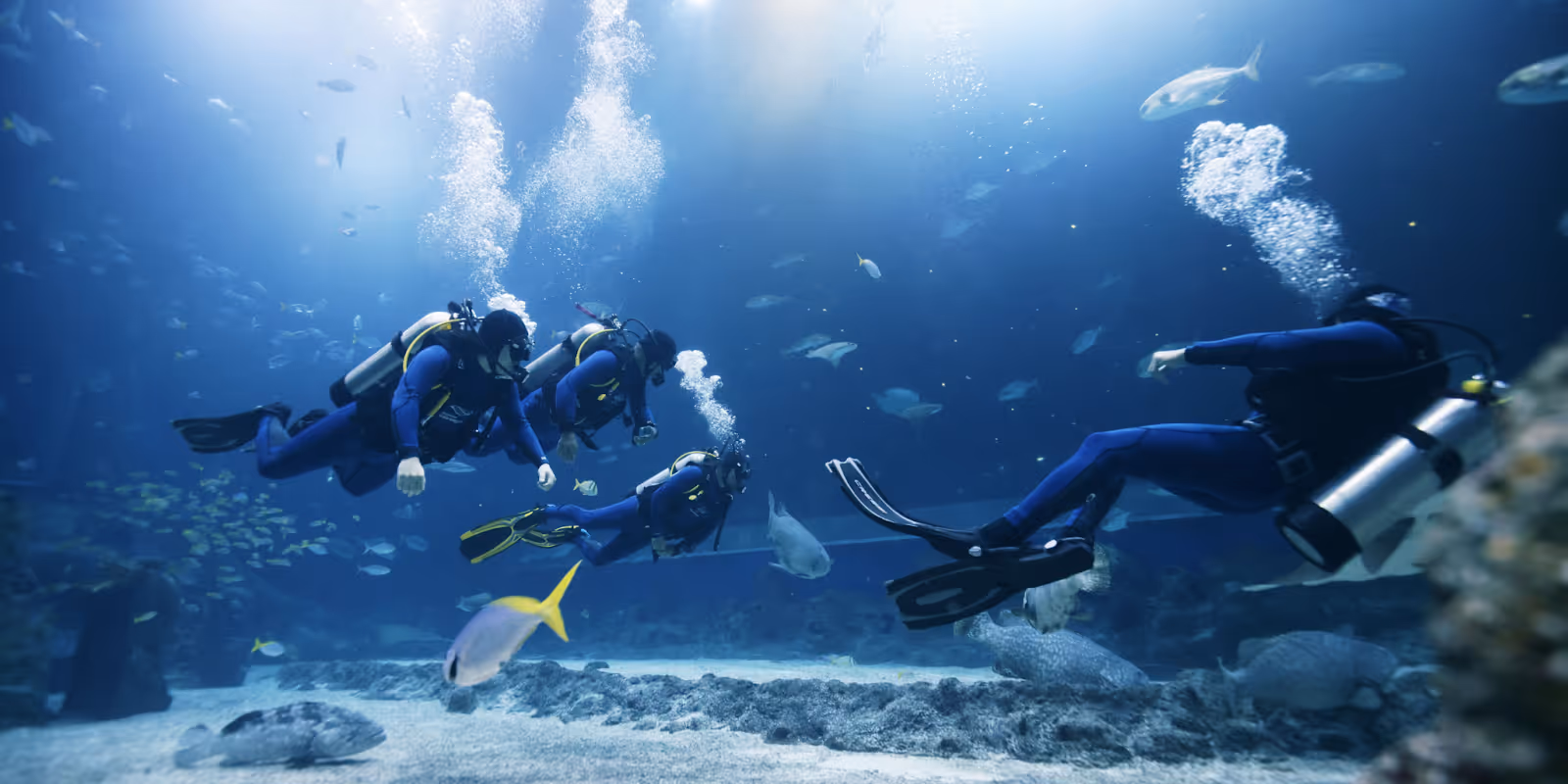 Open Ocean