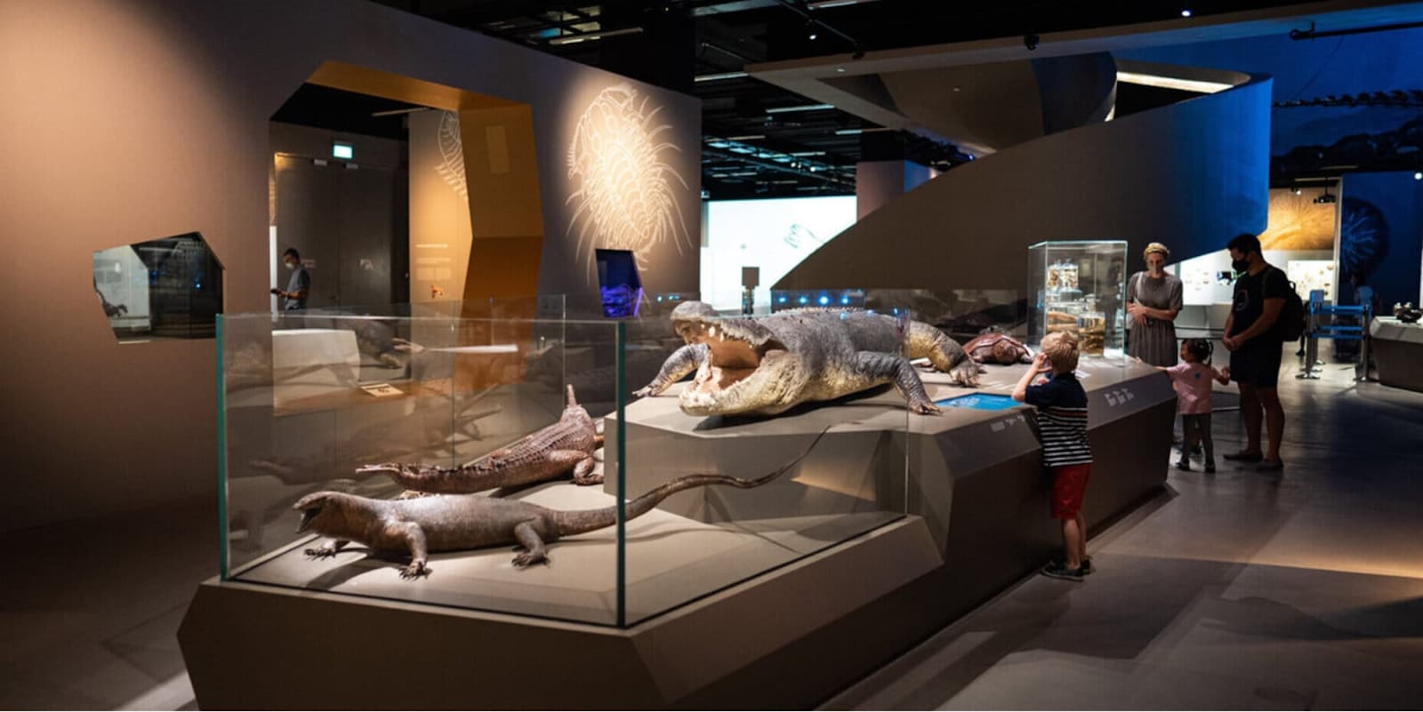 mammals exhibition