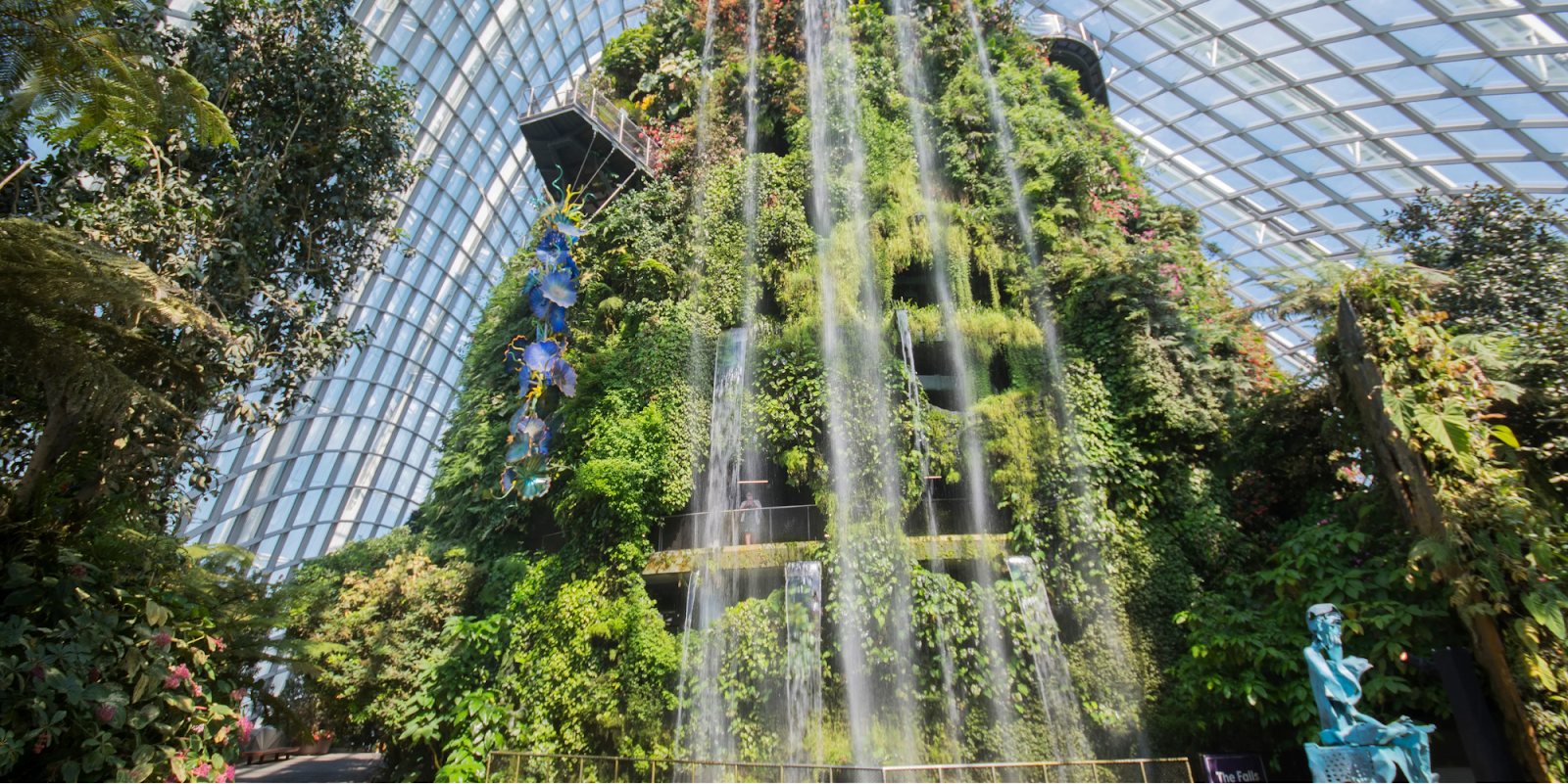 Cloud Forest