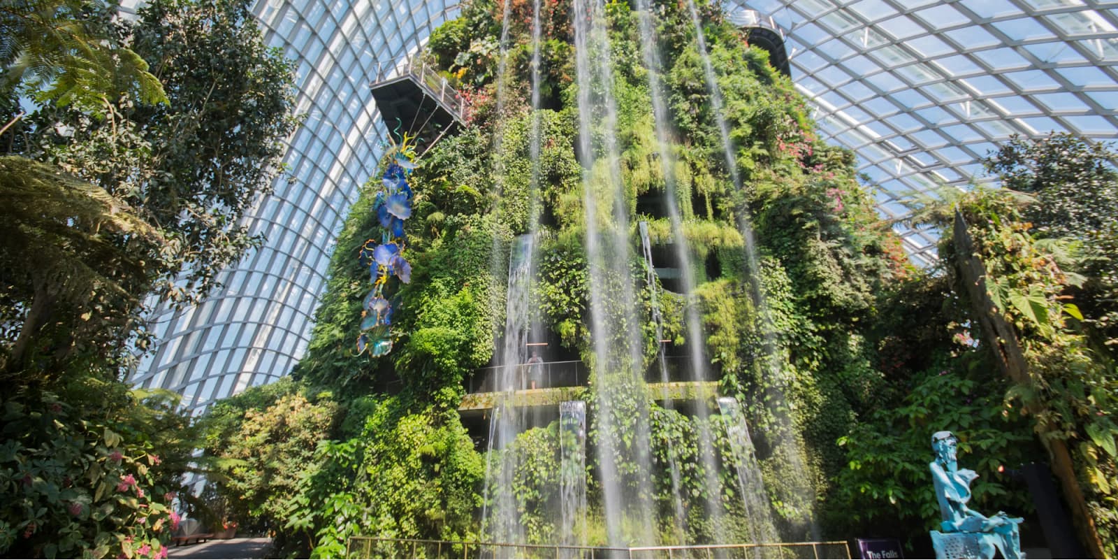 Cloud Forest Garden by the Bay