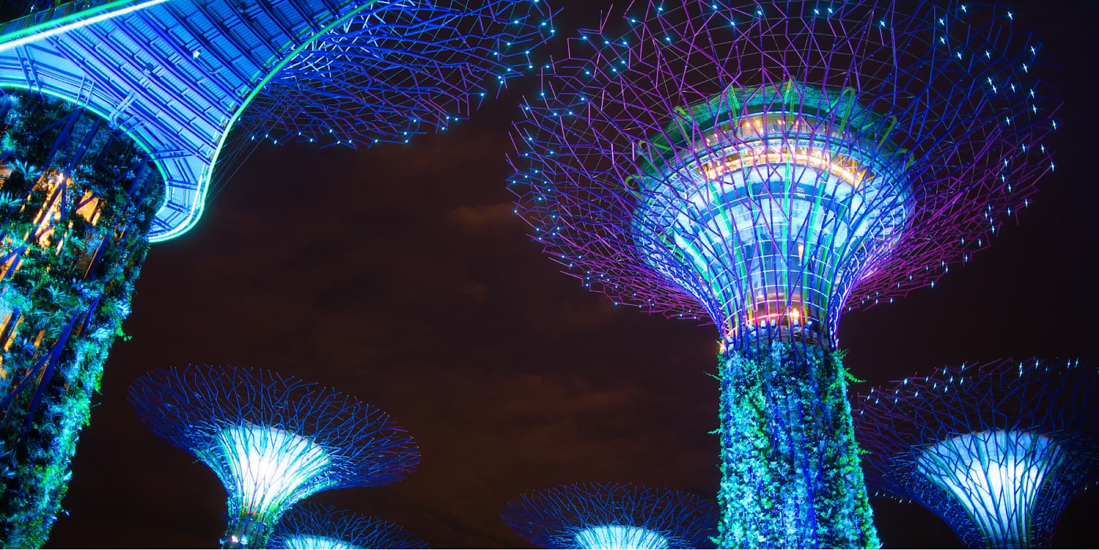supertree grove garden by the bay