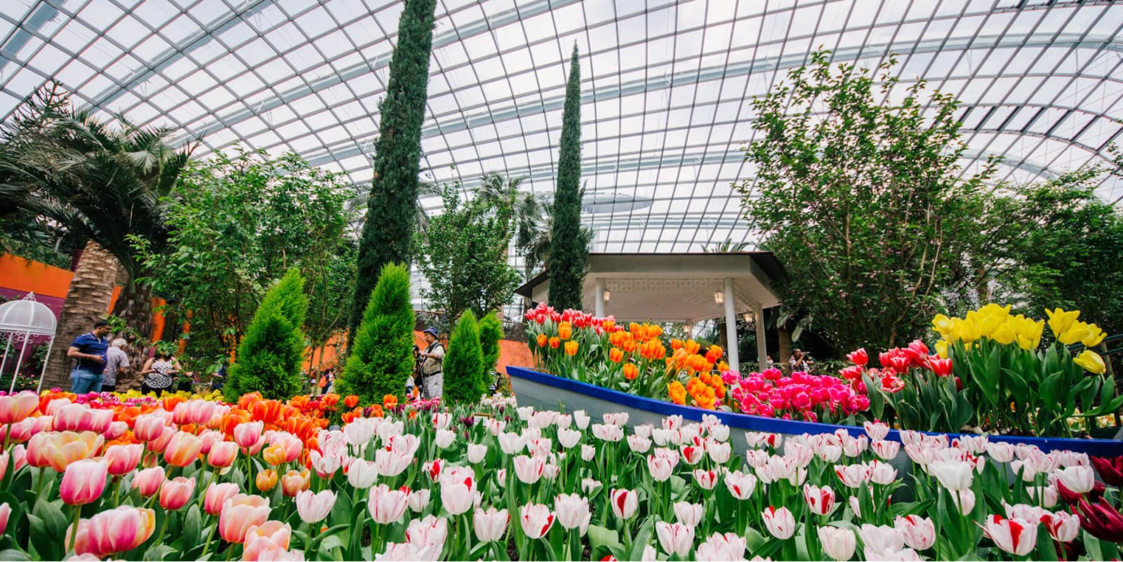 Flower Dome Garden by the Bay