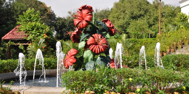 Hibiscus Garden